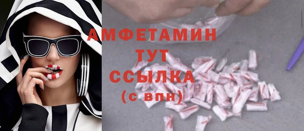 индика Наволоки