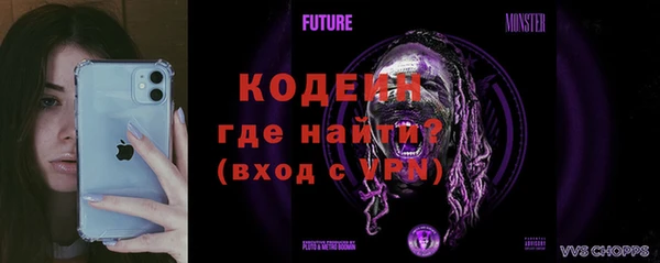 индика Наволоки