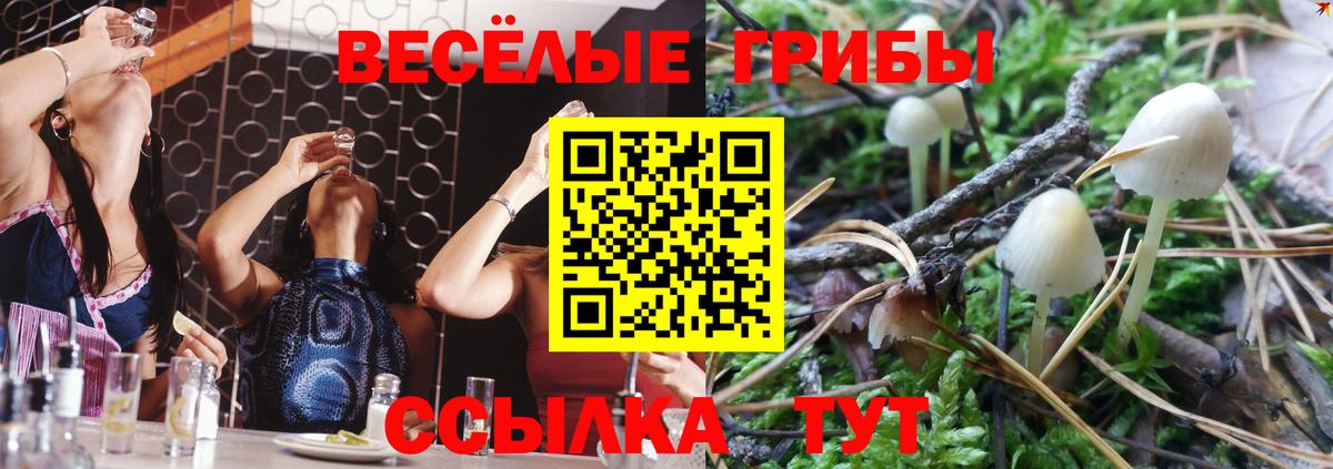 Галлюциногенные грибы ЛСД  Вход с VPN  Ливны  где можно купить наркотик  Псилоцибиновые грибы GOLDEN TEACHER 